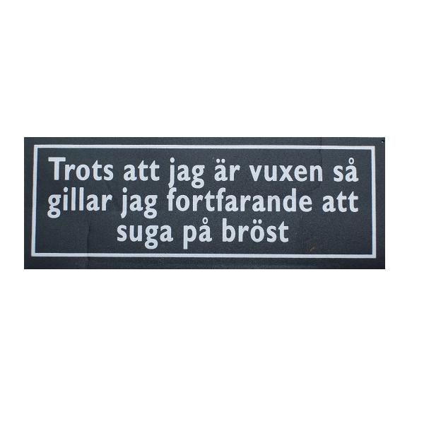 Kort vuxen skämt